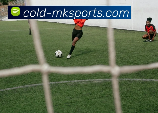 MK体育发展历程